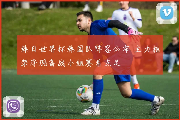 韩日世界杯韩国队阵容公布 主力框架浮现备战小组赛看点足